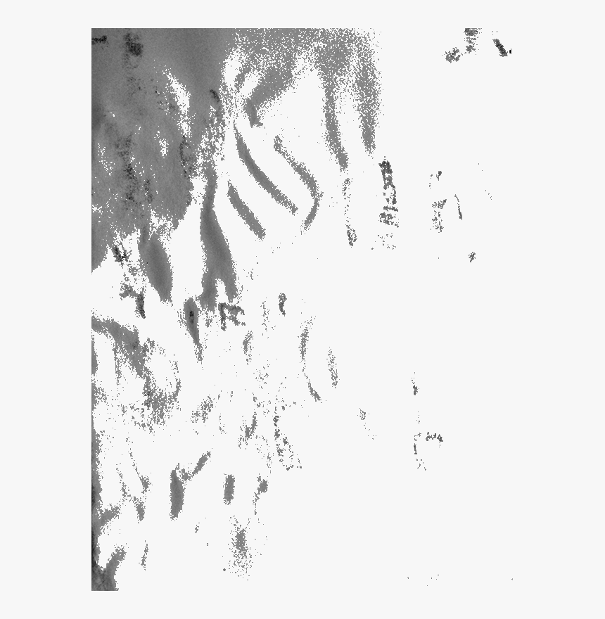 Monochrome, HD Png Download