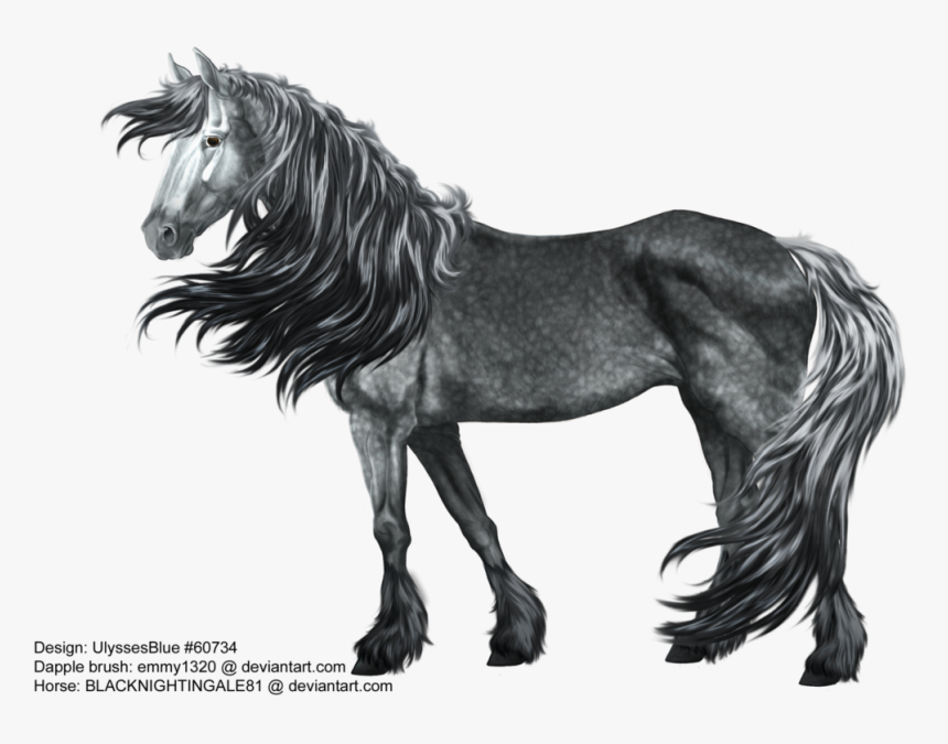 Clip Art Dapple Gray Horse - Dapple Gray Horses Drawings, HD Png Download