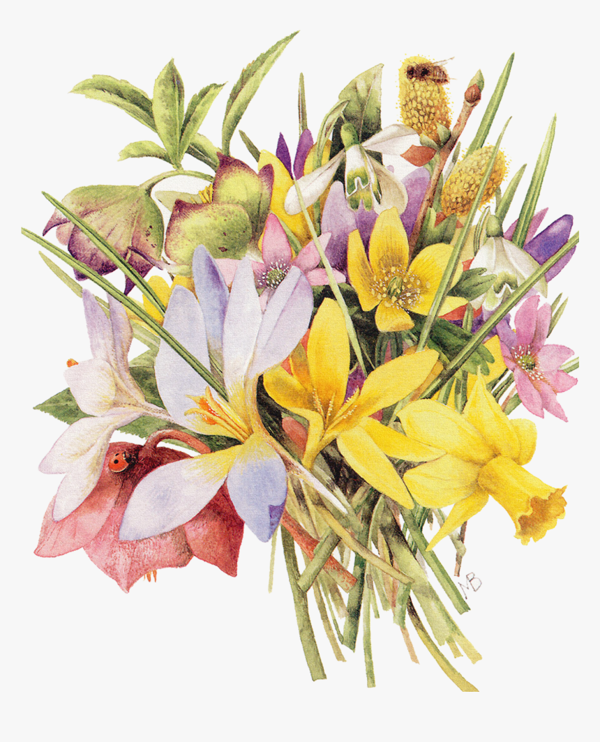 Gratis Zomer Illustraties Marjolein Bastin, HD Png Download