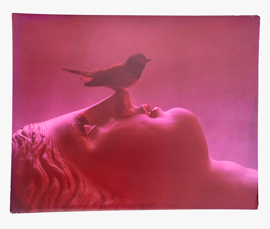 1980s Fashion Photography Print On Matte Board For, HD Png Download