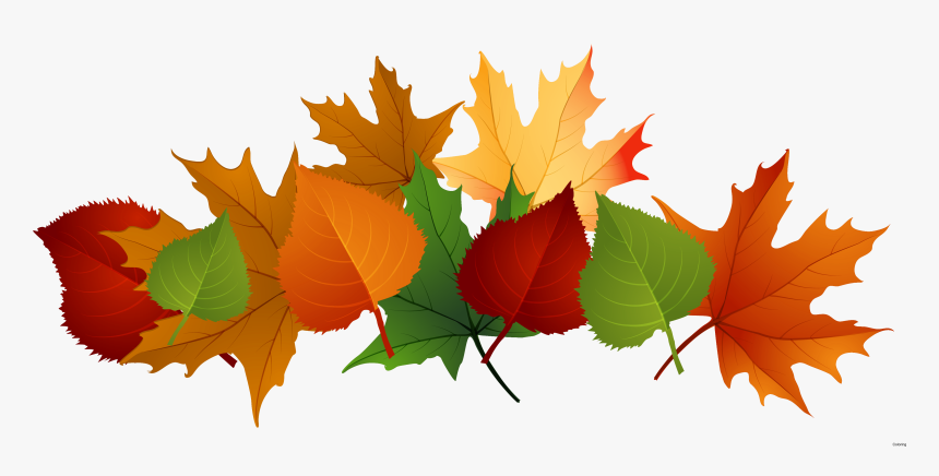 Free Leaf Free On Dumielauxepices - Fall Leaves Transparent Background, HD Png Download