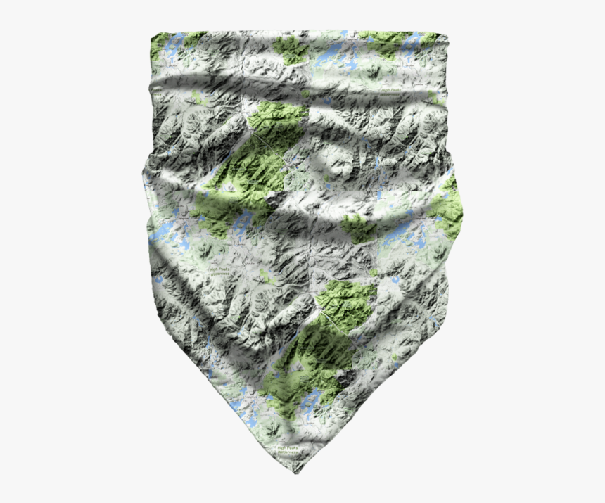 Birch, HD Png Download