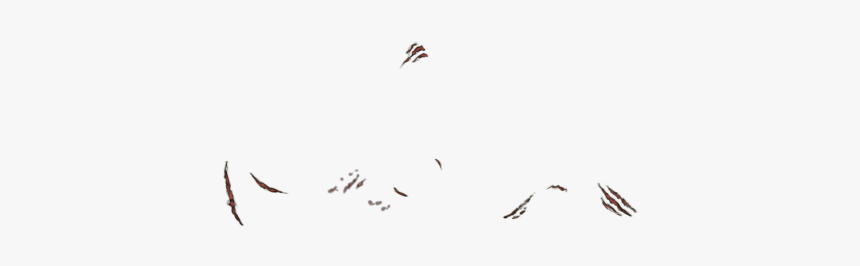 Flock, HD Png Download