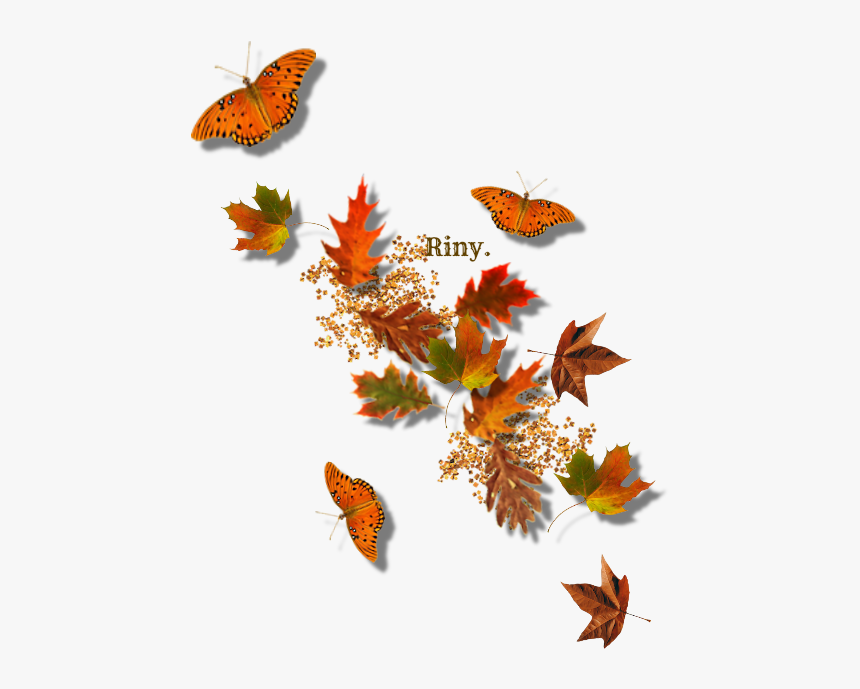 Frame Autumn Leaves Png, Transparent Png