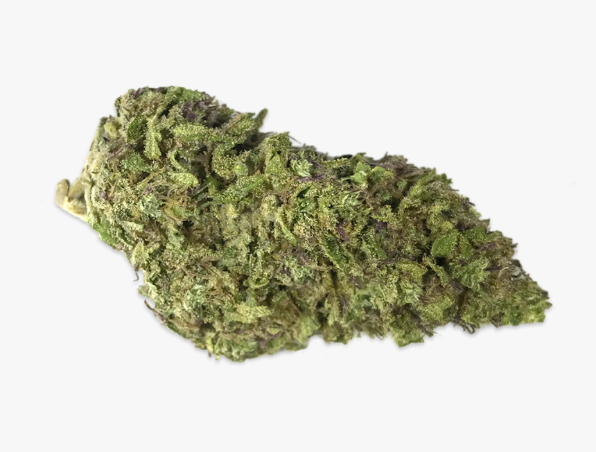 Blue Diesel - Moss, HD Png Download