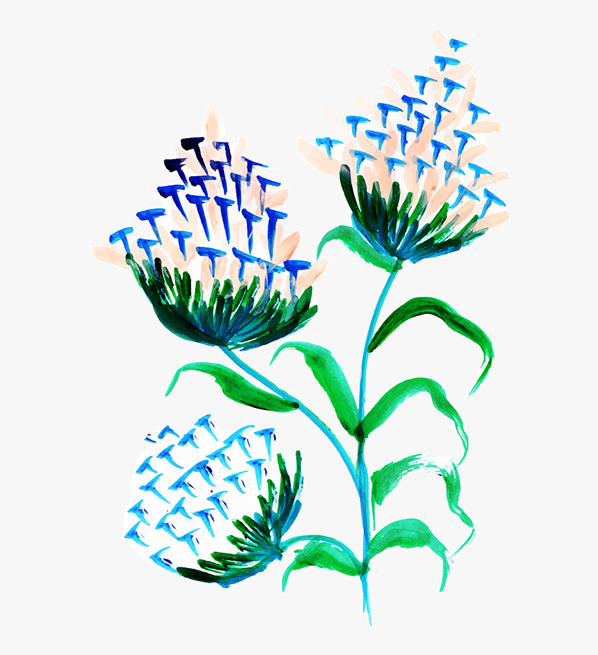 Gentiana, HD Png Download