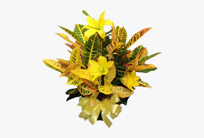Bouquet, HD Png Download