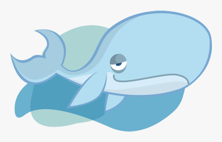 Turma Mundo Bita Animais Baleia, Schöne Walwelt, Hermoso, HD Png Download