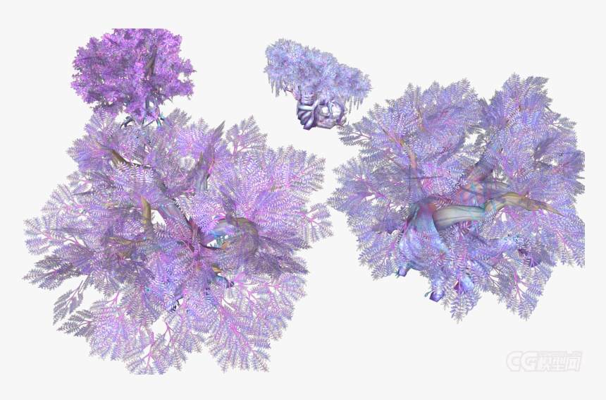 Wisteria, HD Png Download