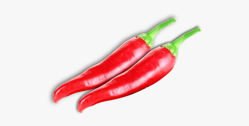 Bird's Eye Chili, HD Png Download