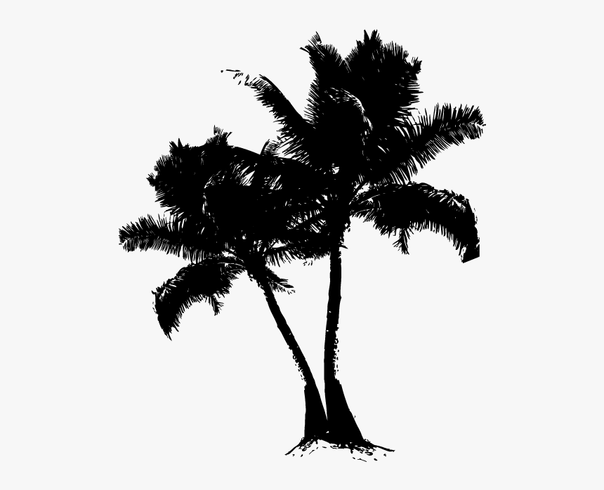 Asian Palmyra Palm Date Palm Silhouette Branching Borassus - Borassus Flabellifer, HD Png Download