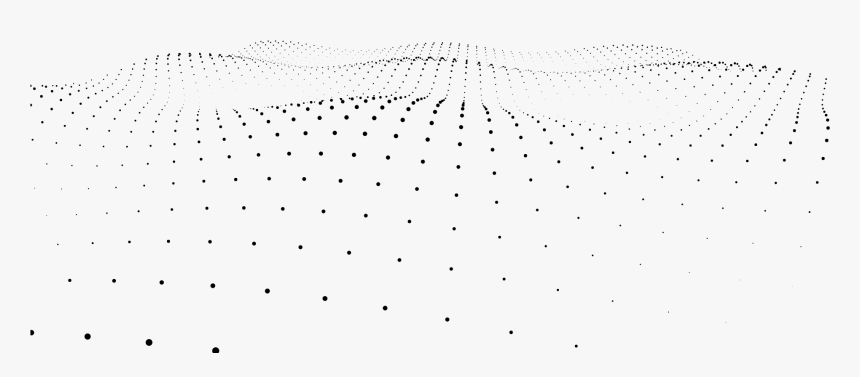 Bird, HD Png Download