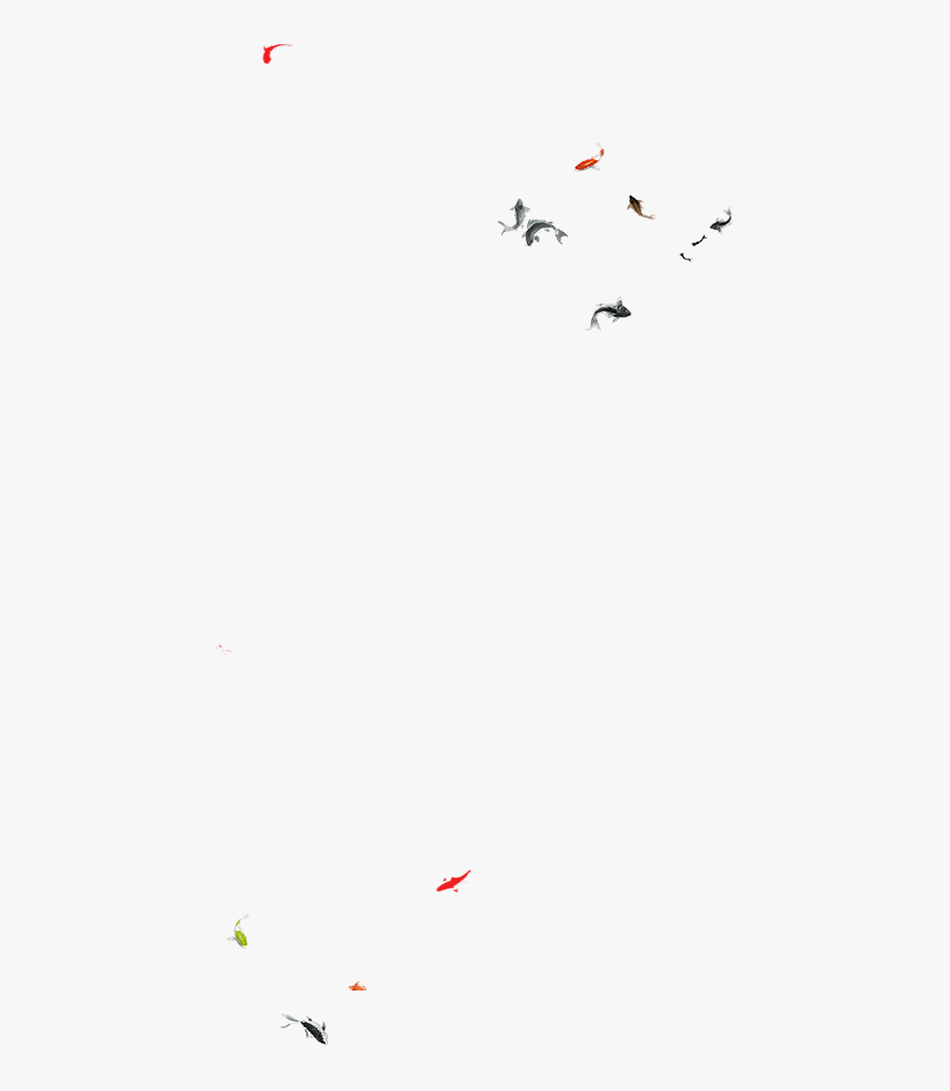 Collection, HD Png Download
