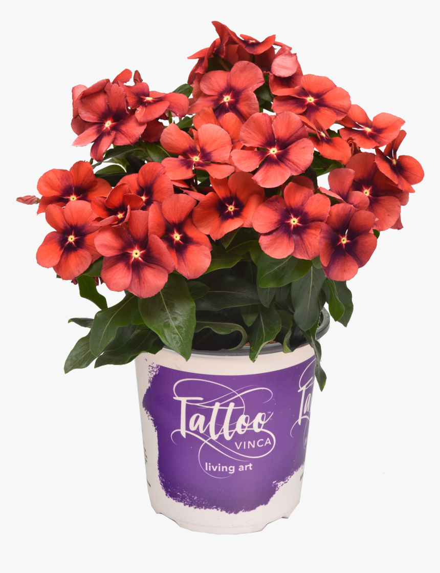 Bouquet, HD Png Download