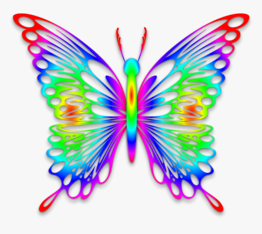 Rainbow Butterfly By Gautamdas1992 On Deviantart - Rainbow Butterfly Transparent Background, HD Png Download