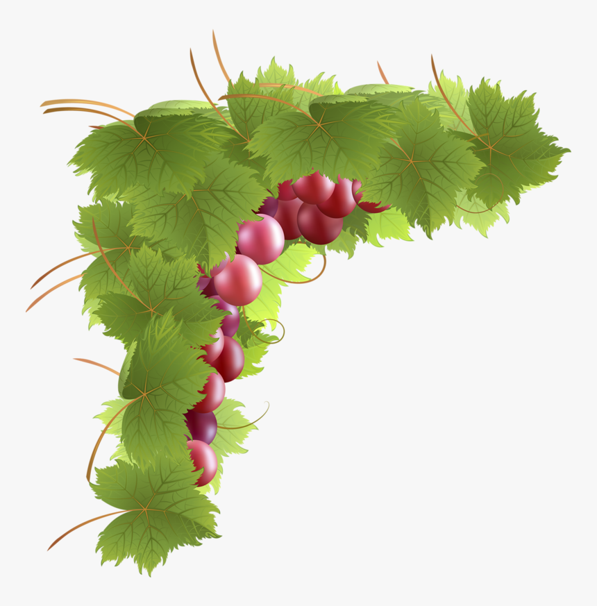 Coins,corners,bordures - Bordures De Page Fruits, HD Png Download