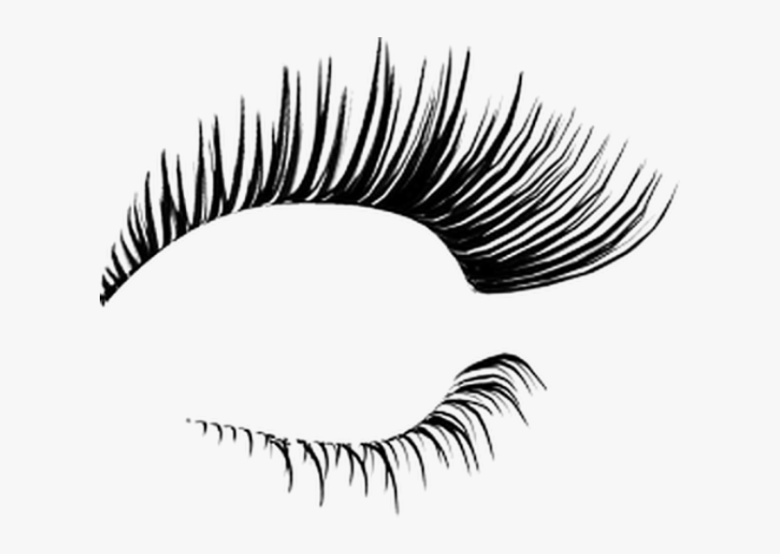 #eyelash - Transparent Eyelashes, HD Png Download