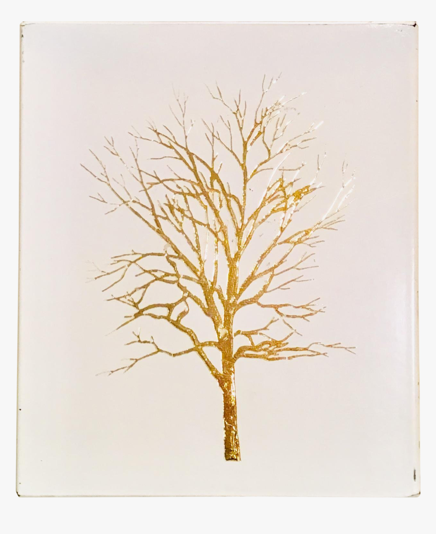 River Birch, HD Png Download