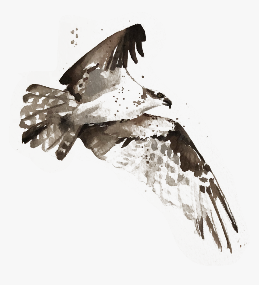 Svg Black And White Download The Events Join Us - Illustration, HD Png Download