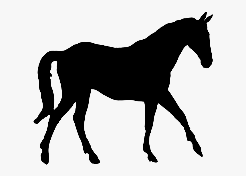 Horse Silhouette, HD Png Download