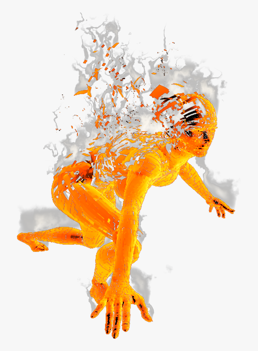 Anaxyrus, HD Png Download