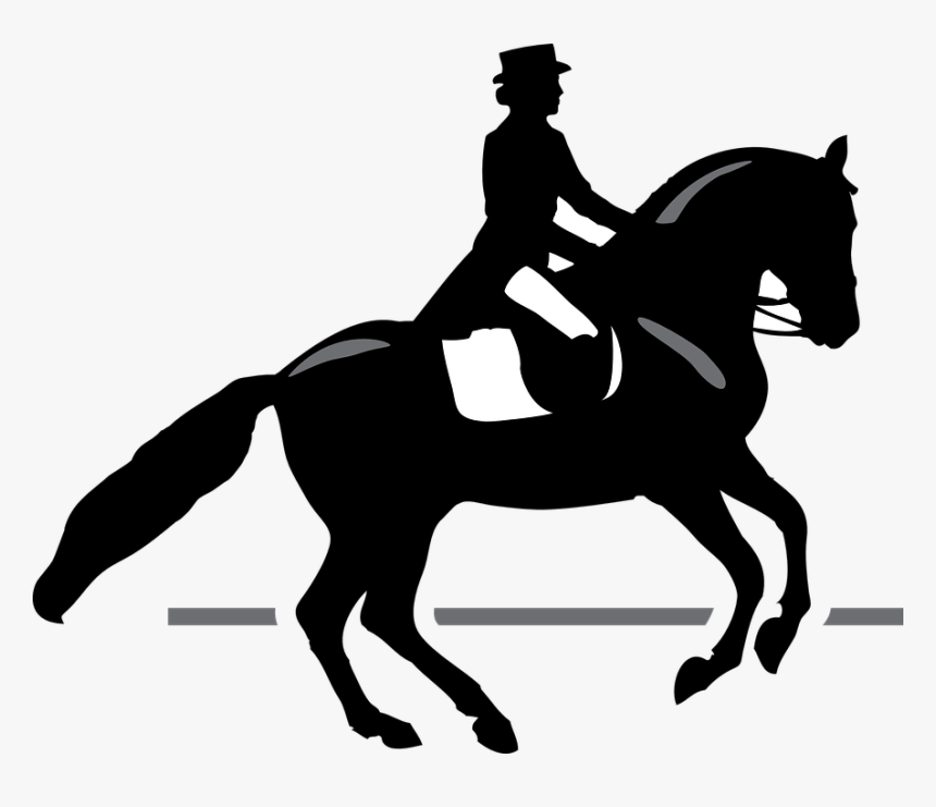 Cross Country Clipart Horse, HD Png Download
