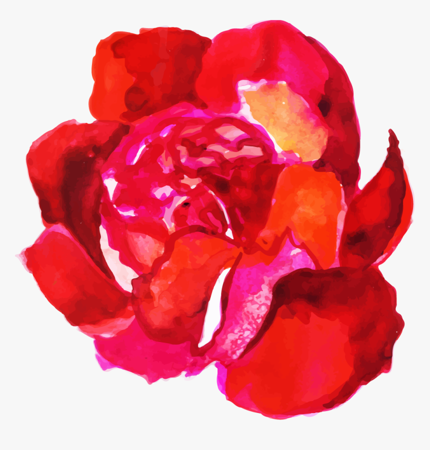 Garden Roses, HD Png Download