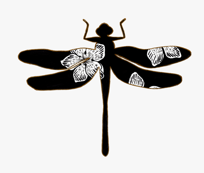 Dragonfly By Lavie Eibel, HD Png Download