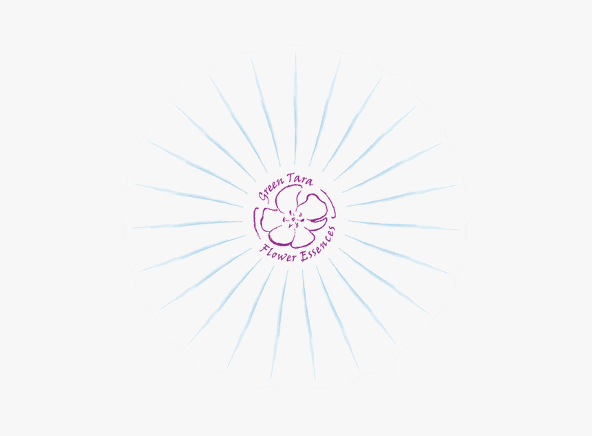 Circle, HD Png Download