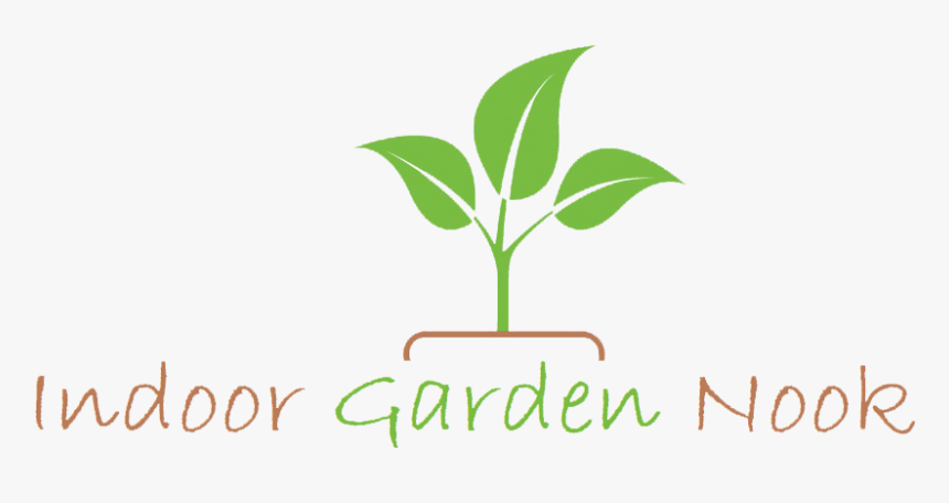 Houseplant, HD Png Download