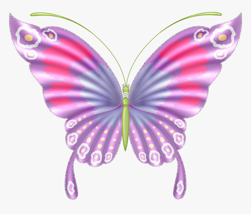 Butterfly, HD Png Download