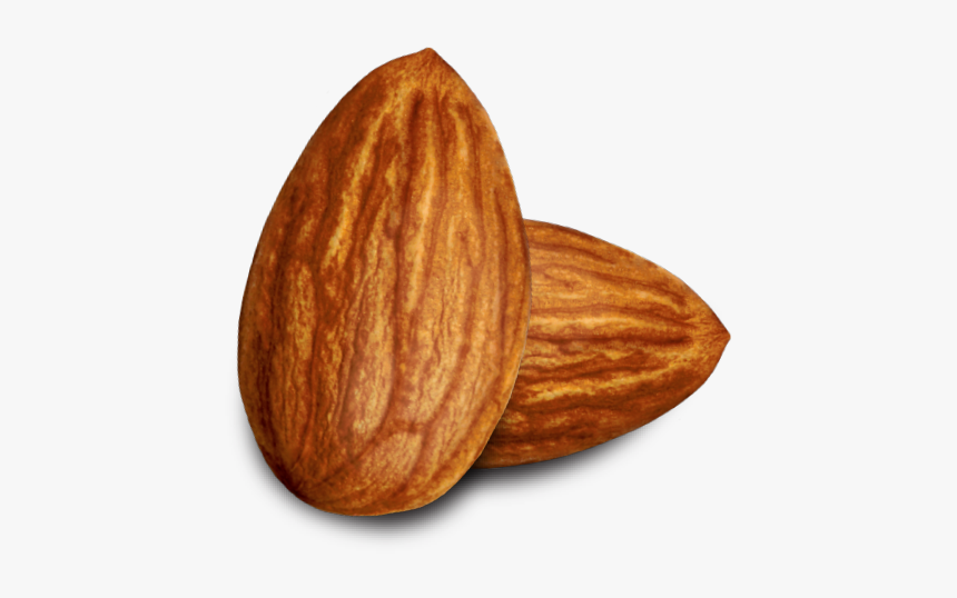 Almond Png Pic Background - Almond Clipart, Transparent Png