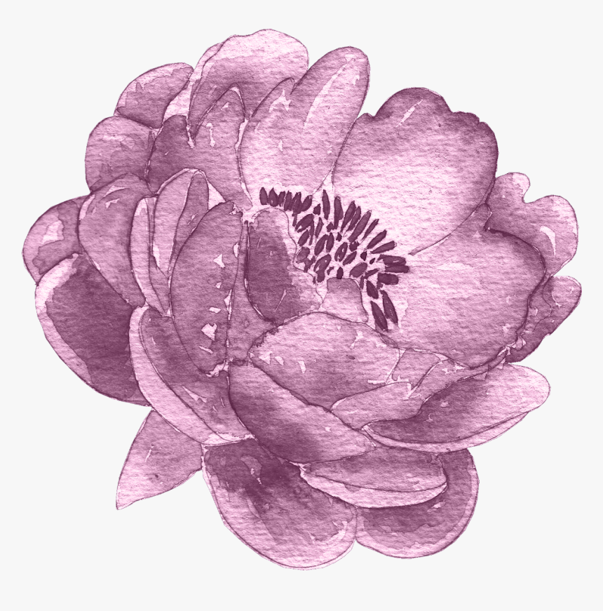 #flowers #flower #watercolor #stock #freetoedit - Watercolor Painting, HD Png Download