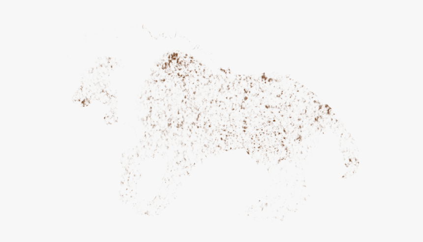 Flock, HD Png Download