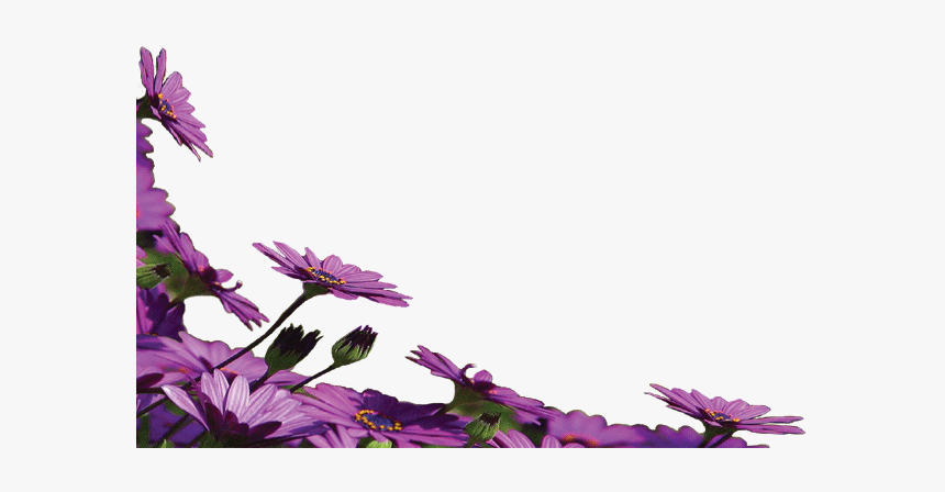 Flower-borde1r - Flower Frame Png High Resolution, Transparent Png
