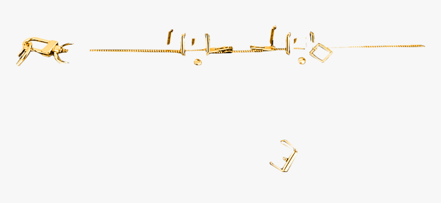 Dog Catches Something, HD Png Download