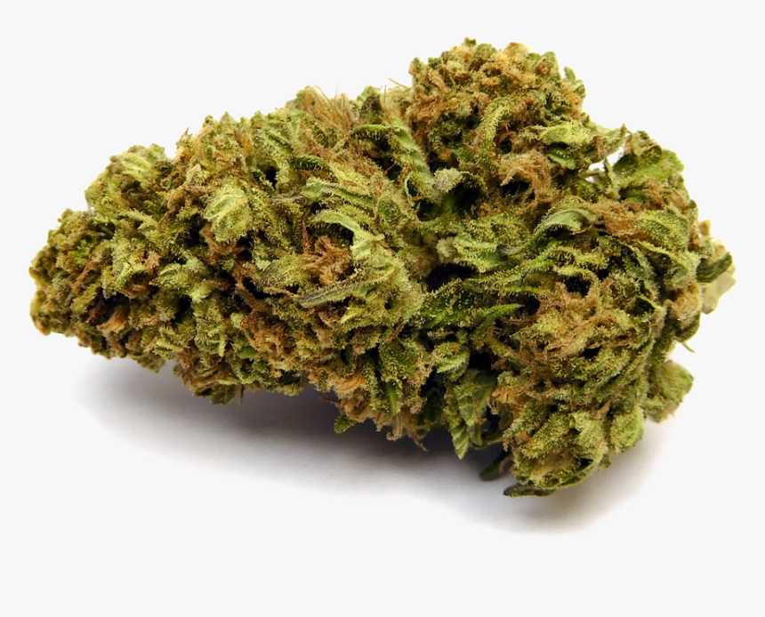 Moss, HD Png Download
