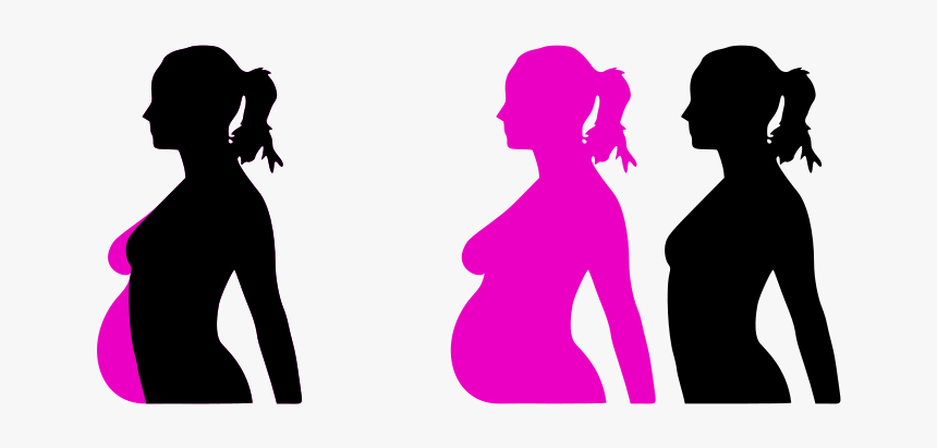 Vector Free Stock Free Clipart Pregnant Woman Silhouette - Pregnant Clip Art, HD Png Download