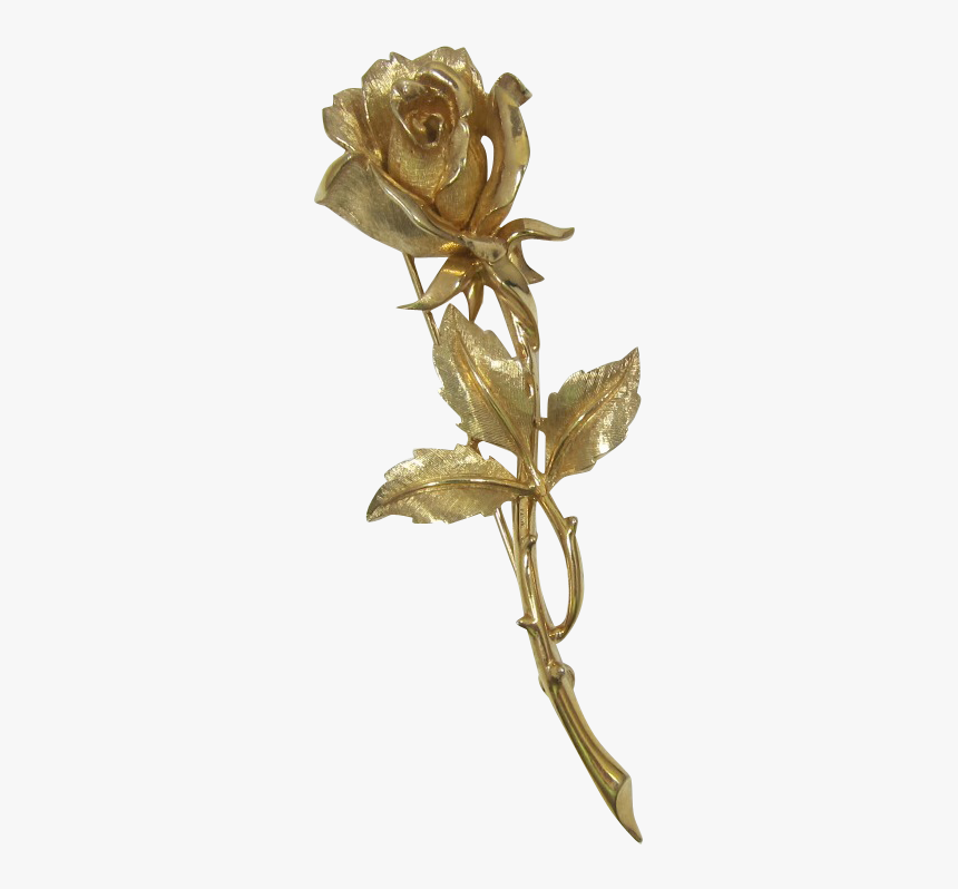 Garden Roses, HD Png Download
