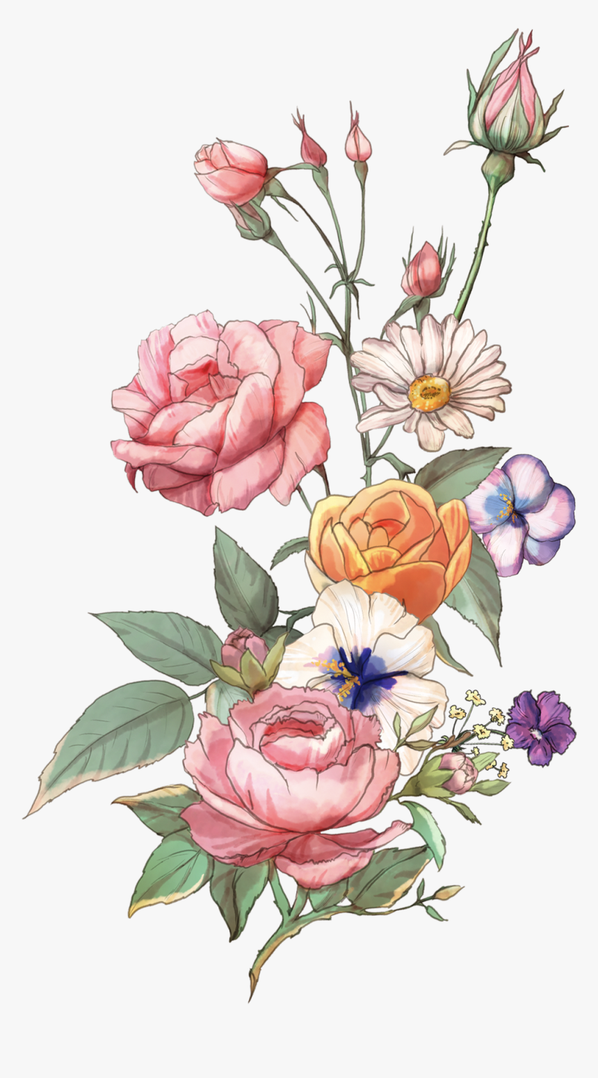 Vintage Avocado Tree Flower Png Download, Transparent Png