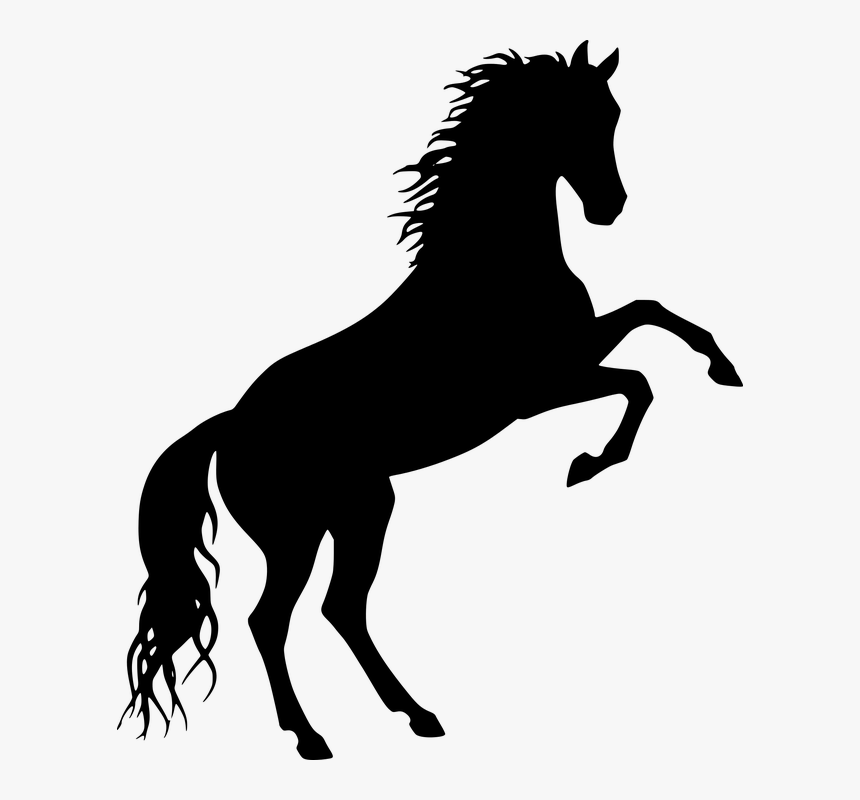 Free To Use Horse Silhouette, HD Png Download