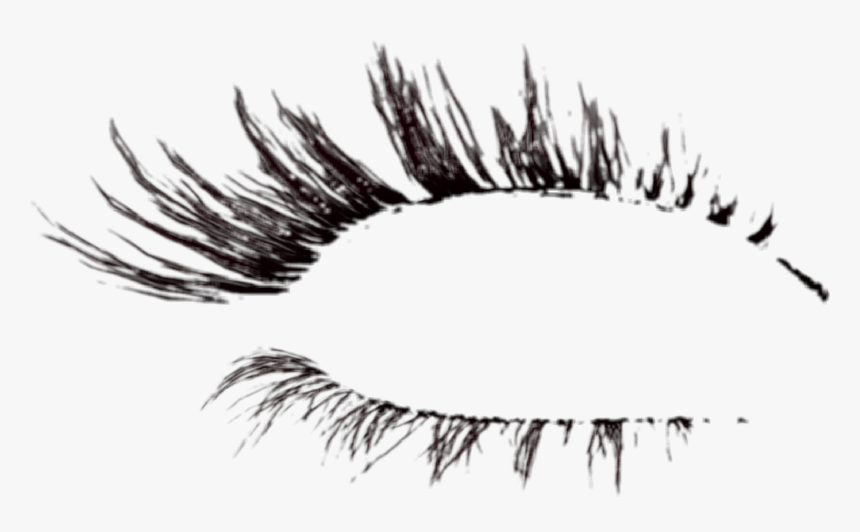 #lashes - Eyelash Extensions, HD Png Download