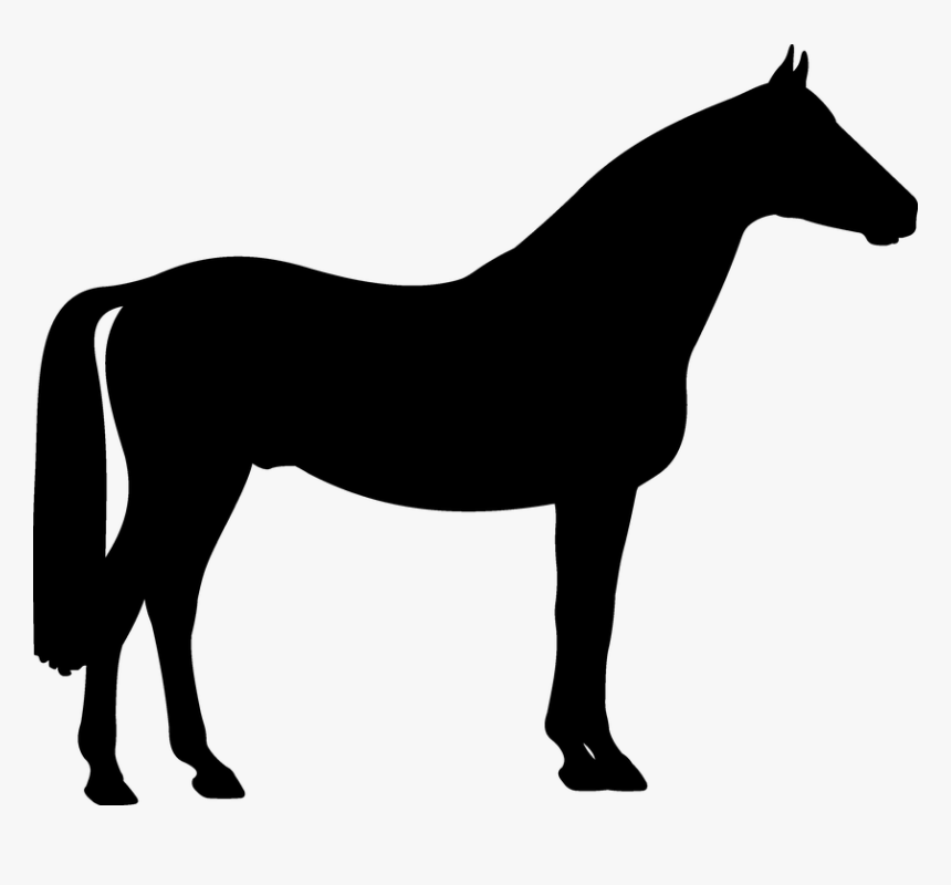 Cane Corso Clipart Transparent, HD Png Download