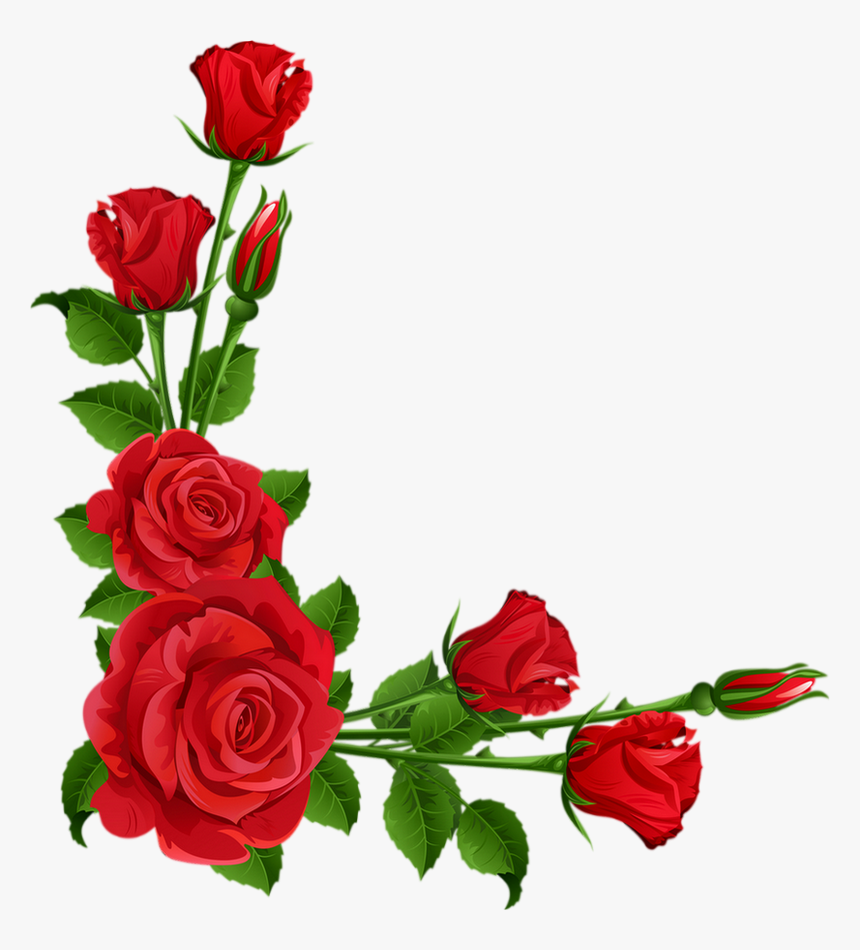 Roses Rouges Png Coin Tube Red Roses Clipart Floribunda Transparent Png Transparent Png Image Pngitem
