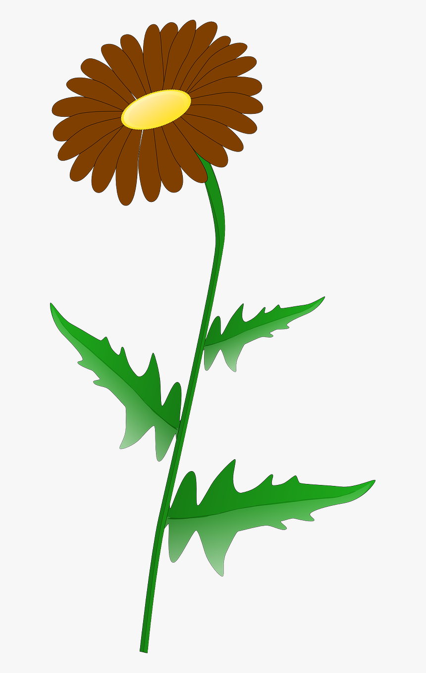 Daisy Clip Art, HD Png Download