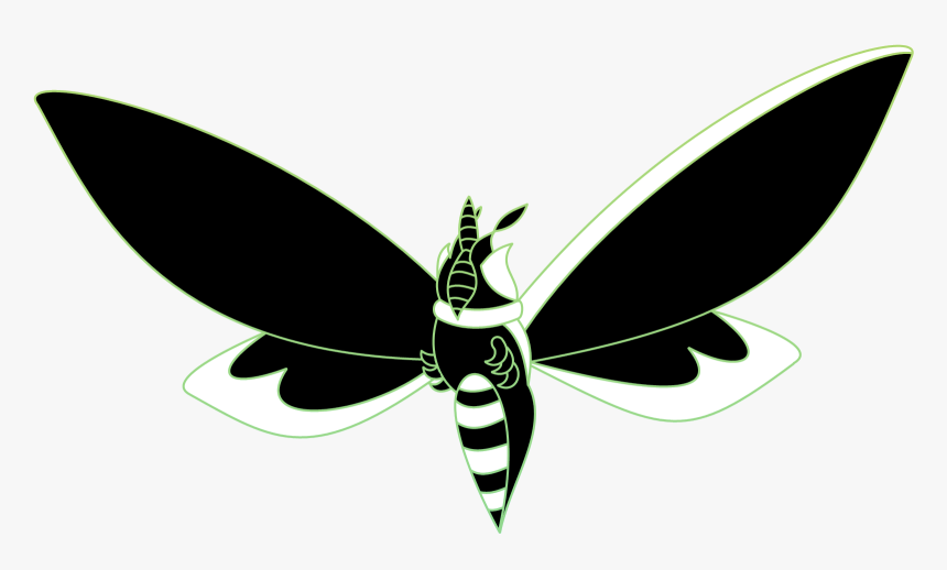 Green Powder Moth - Net-winged Insects, HD Png Download