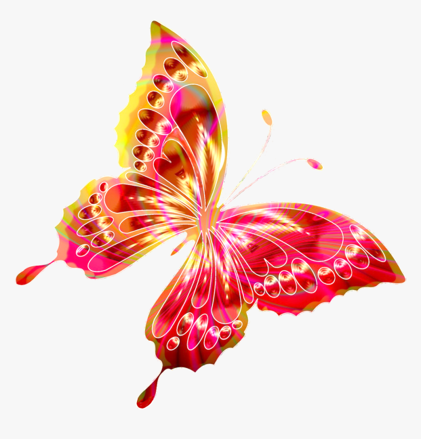 #butterfly #rainbow #bright #brightcolours #flutterby - Illustration, HD Png Download