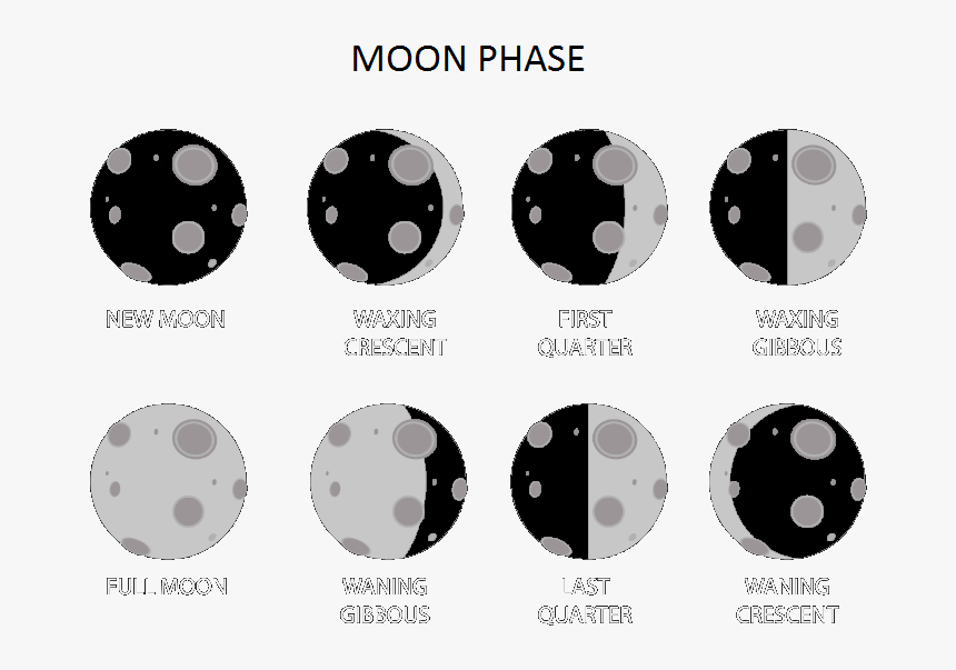 Circle, HD Png Download