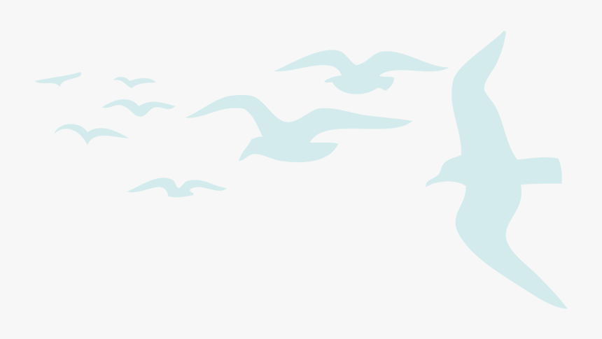 Flock, HD Png Download