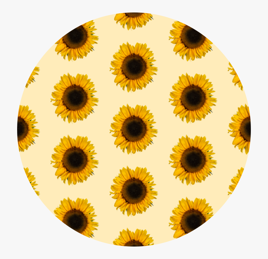 @dexhornet, HD Png Download